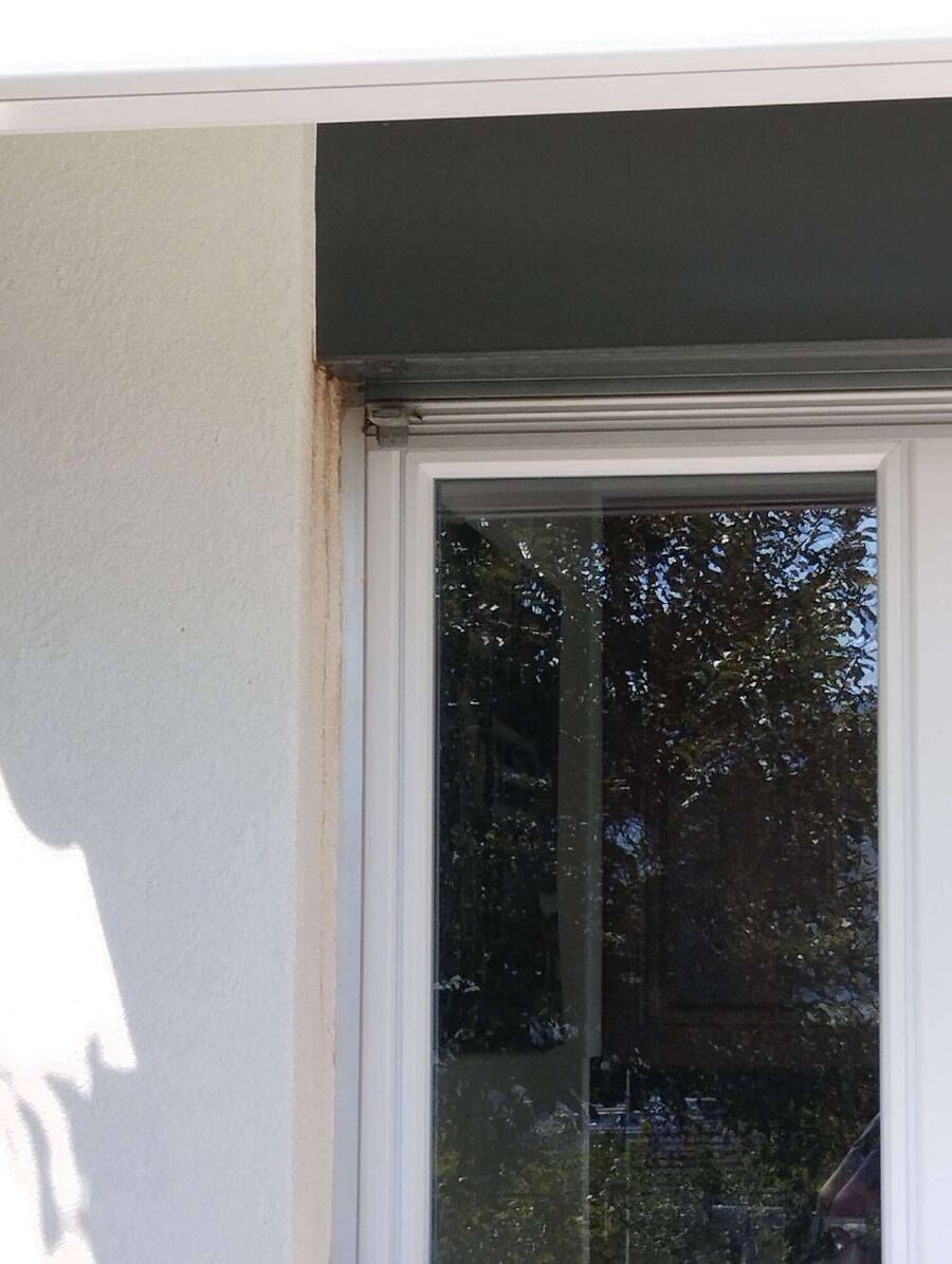 Bee nest at the house remove