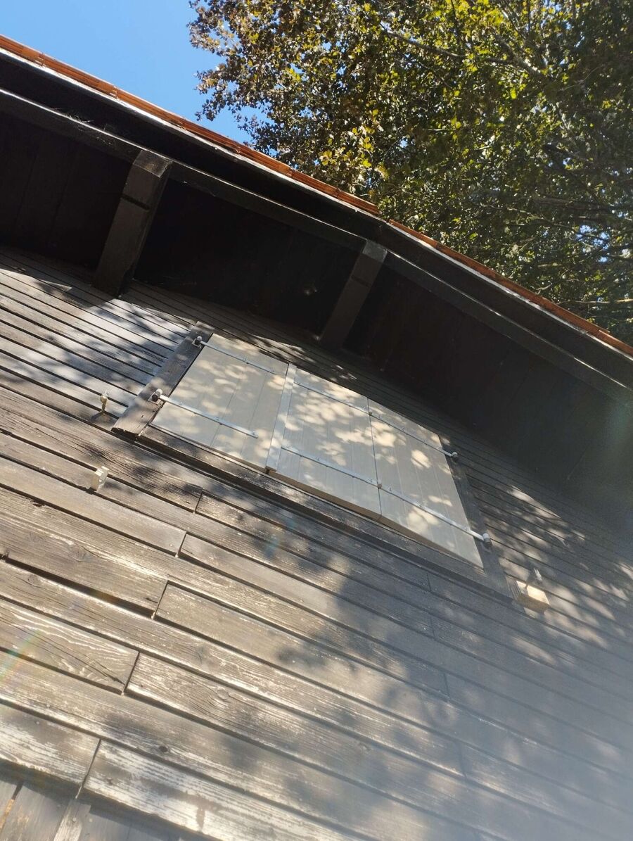 Bee nest at the house remove