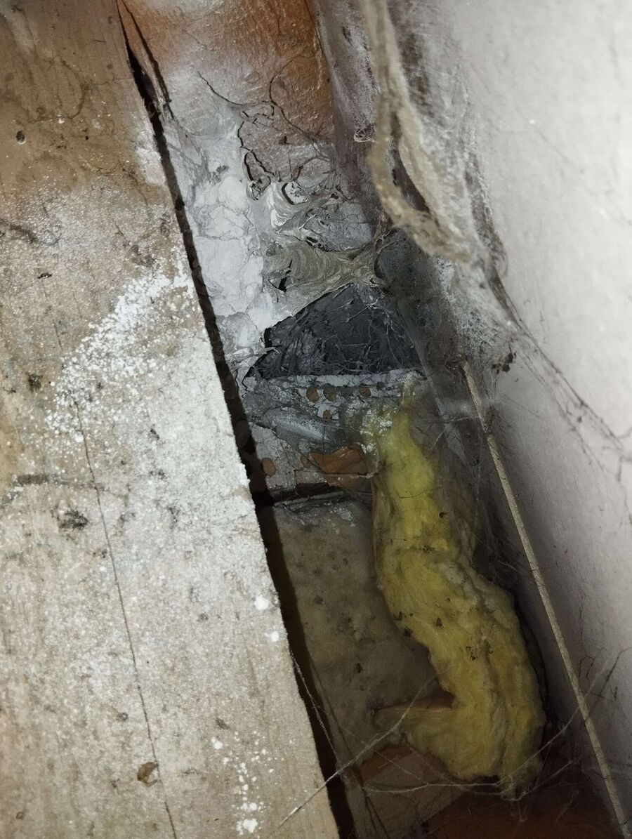 Bee nest at the house remove