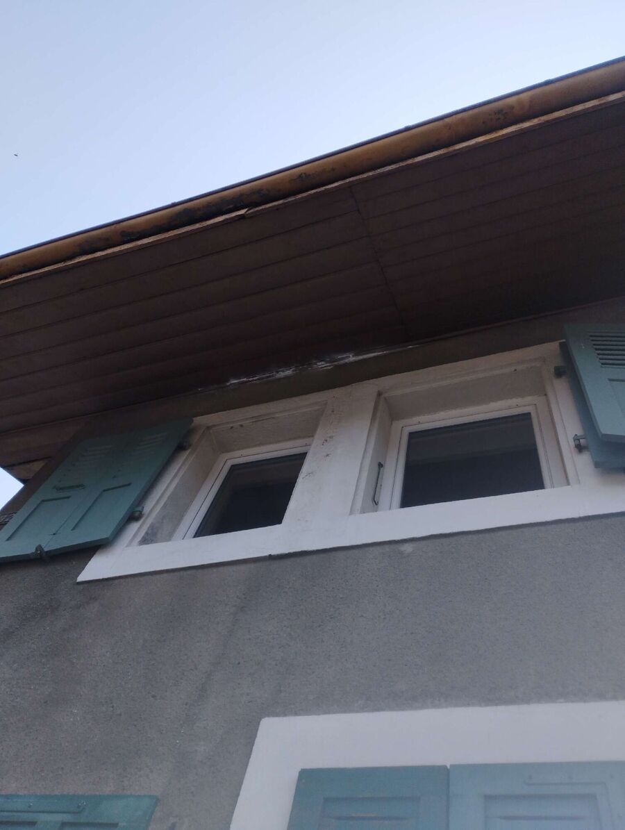 Bee nest at the house remove