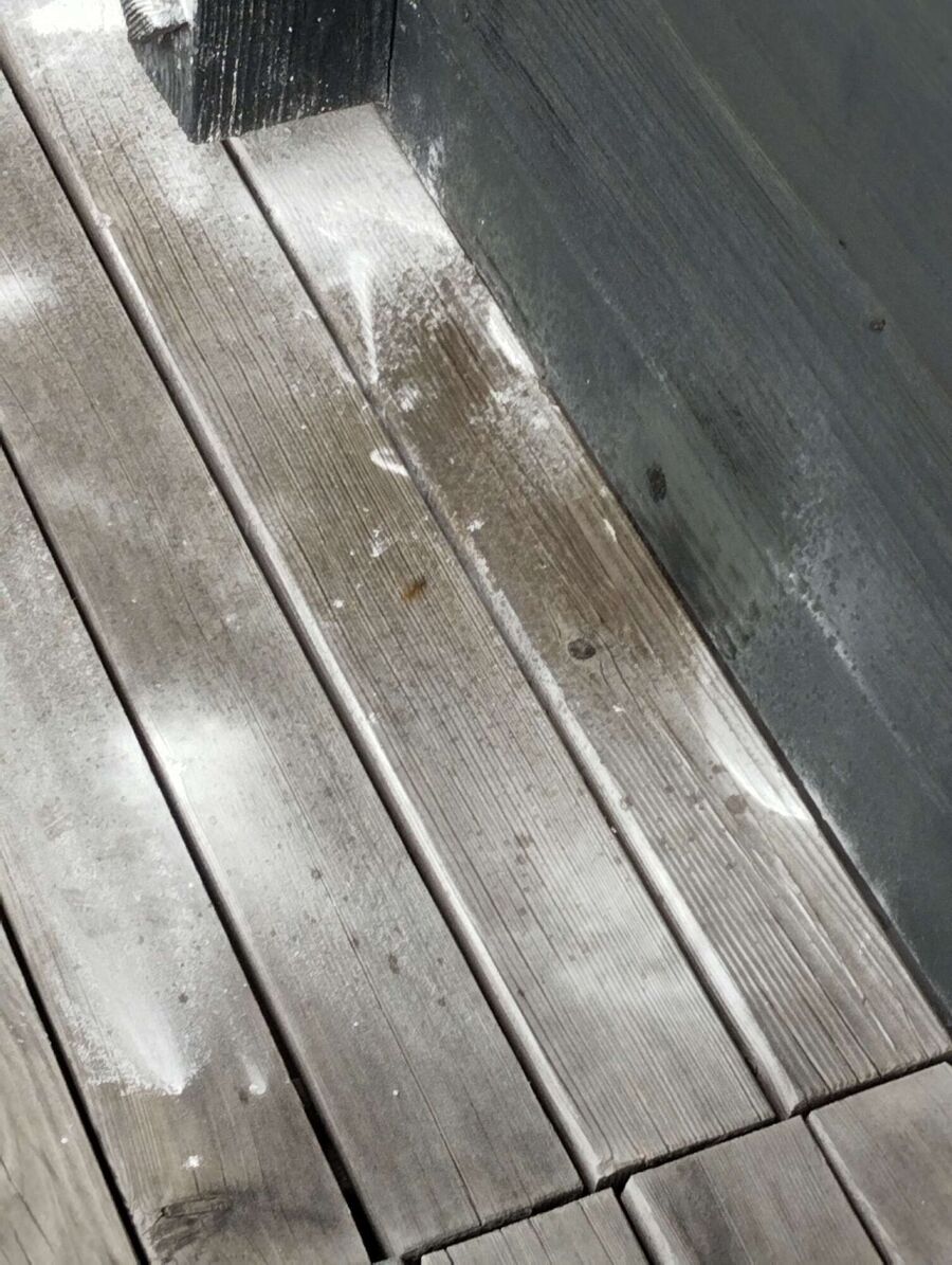 Bee nest at the house remove