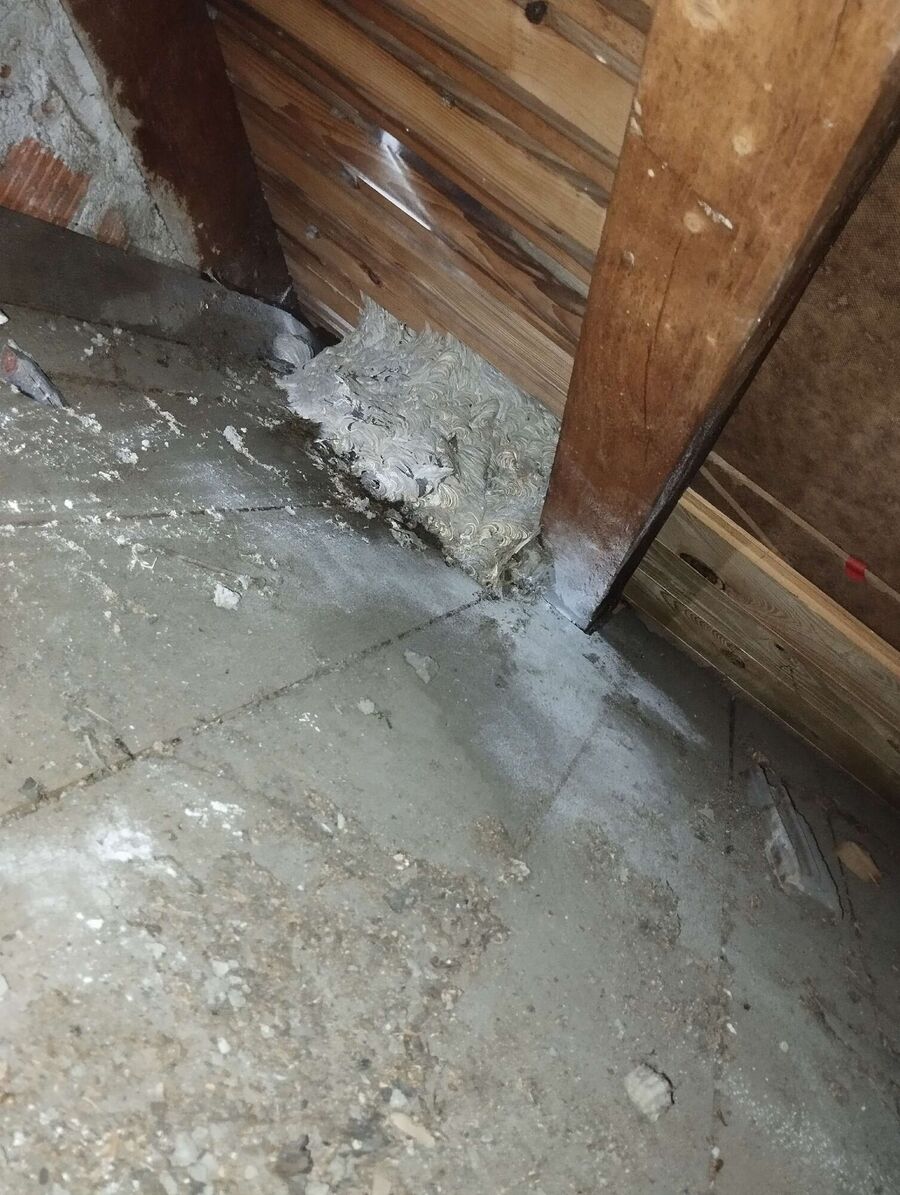 Bee nest at the house remove