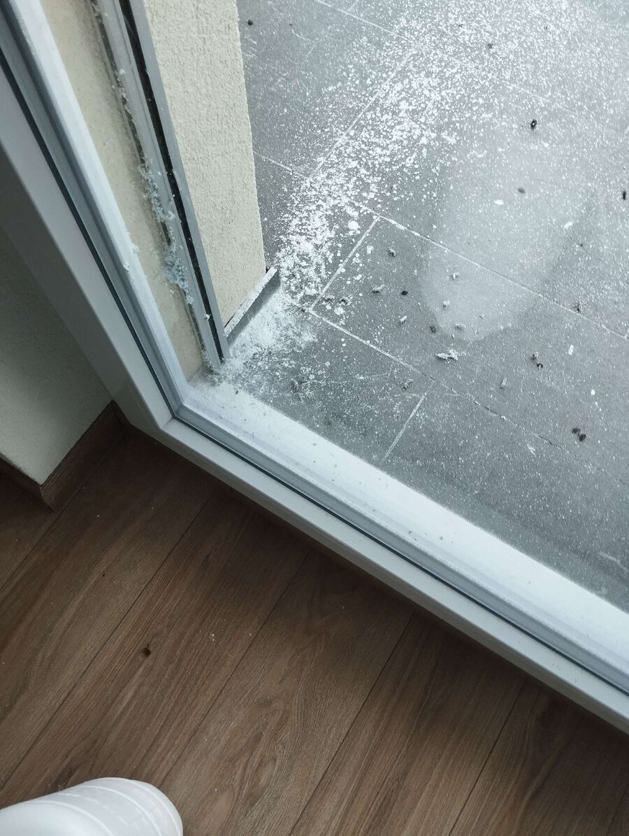 Bee nest at the house remove