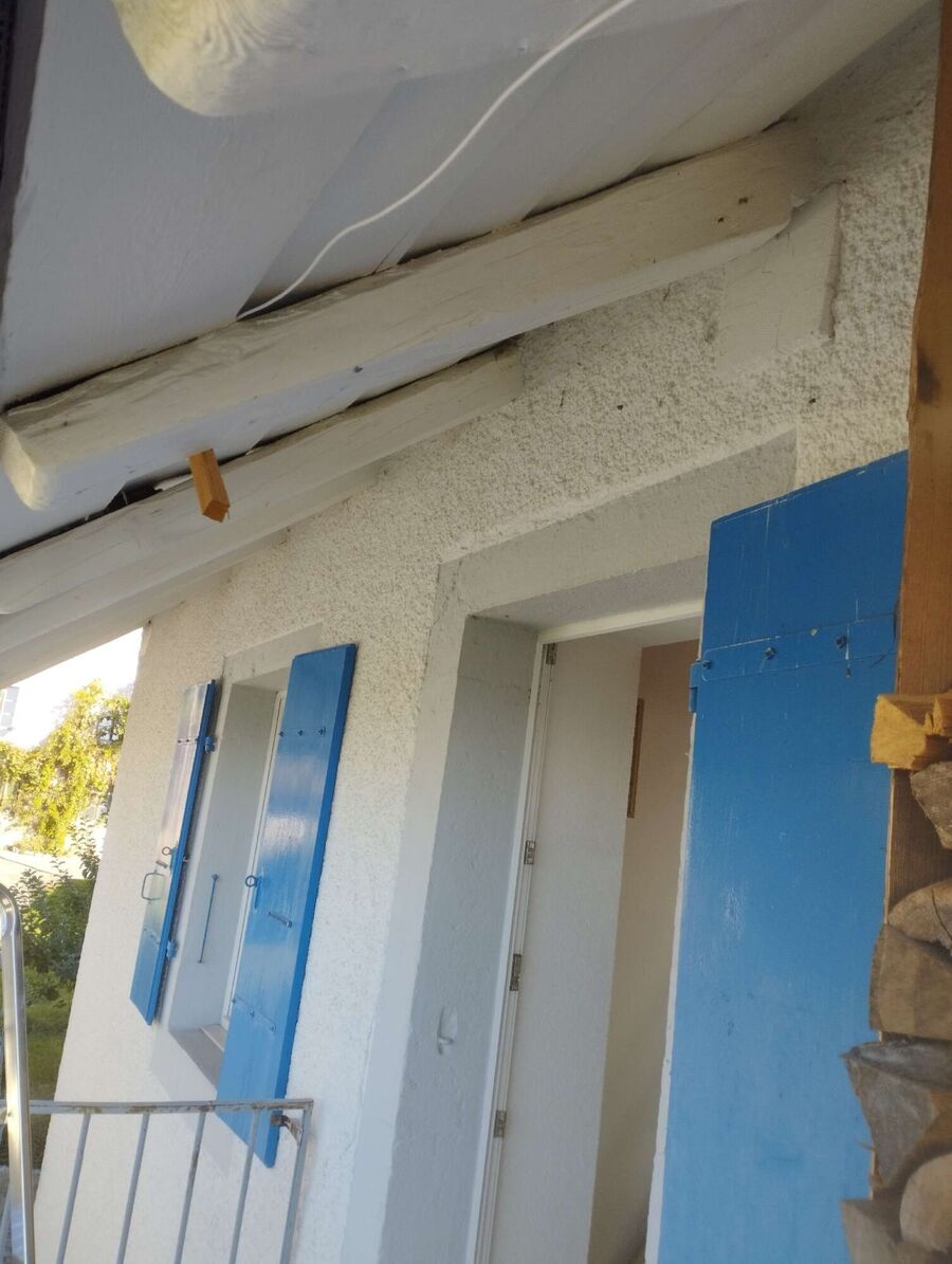 Relocate bees & remove bee nest