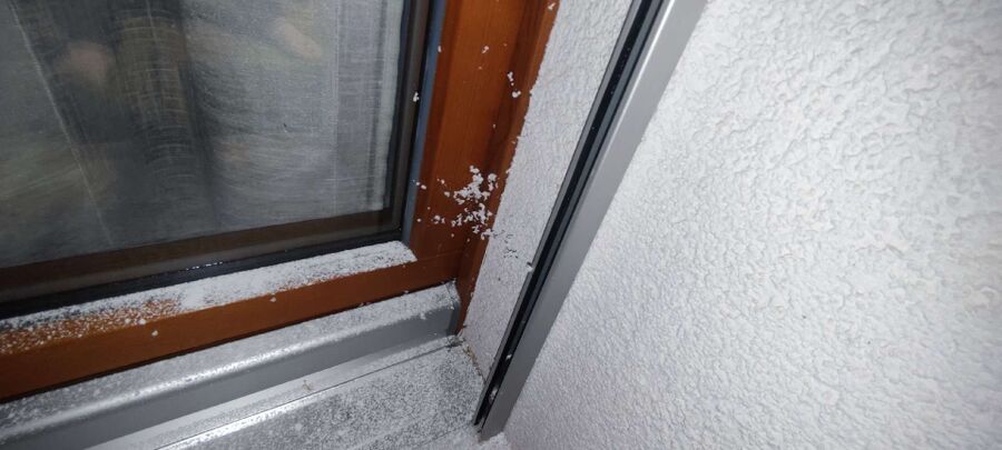 Relocate bees & remove bee nest