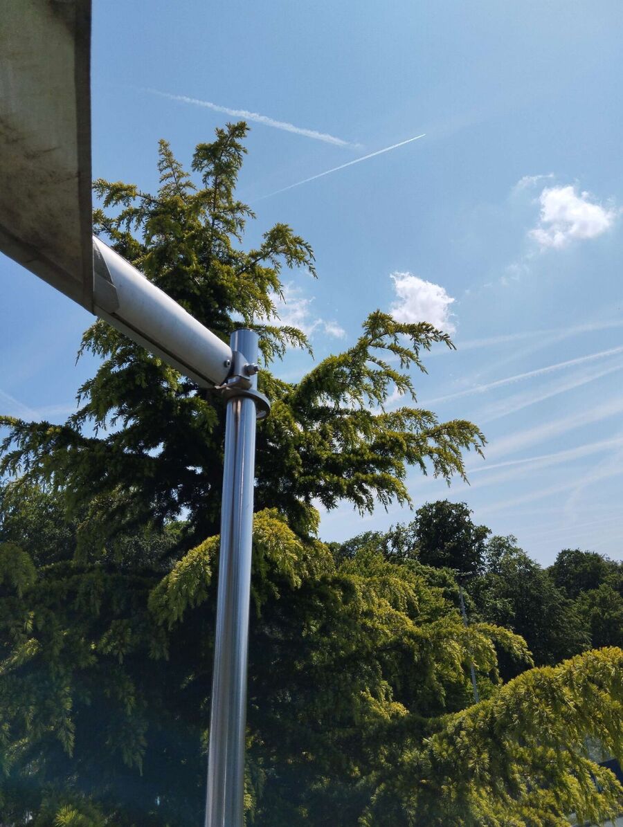 Relocate bees & remove bee nest