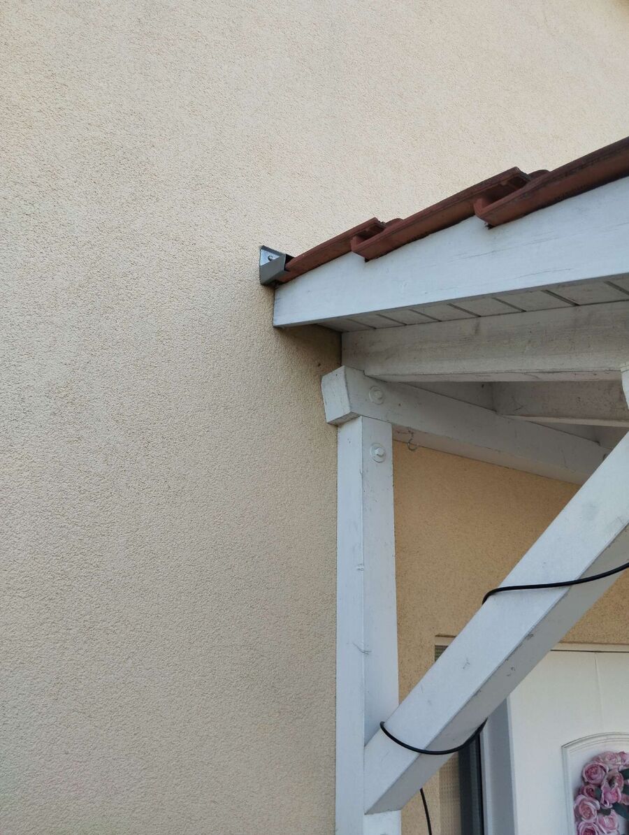 Relocate bees & remove bee nest