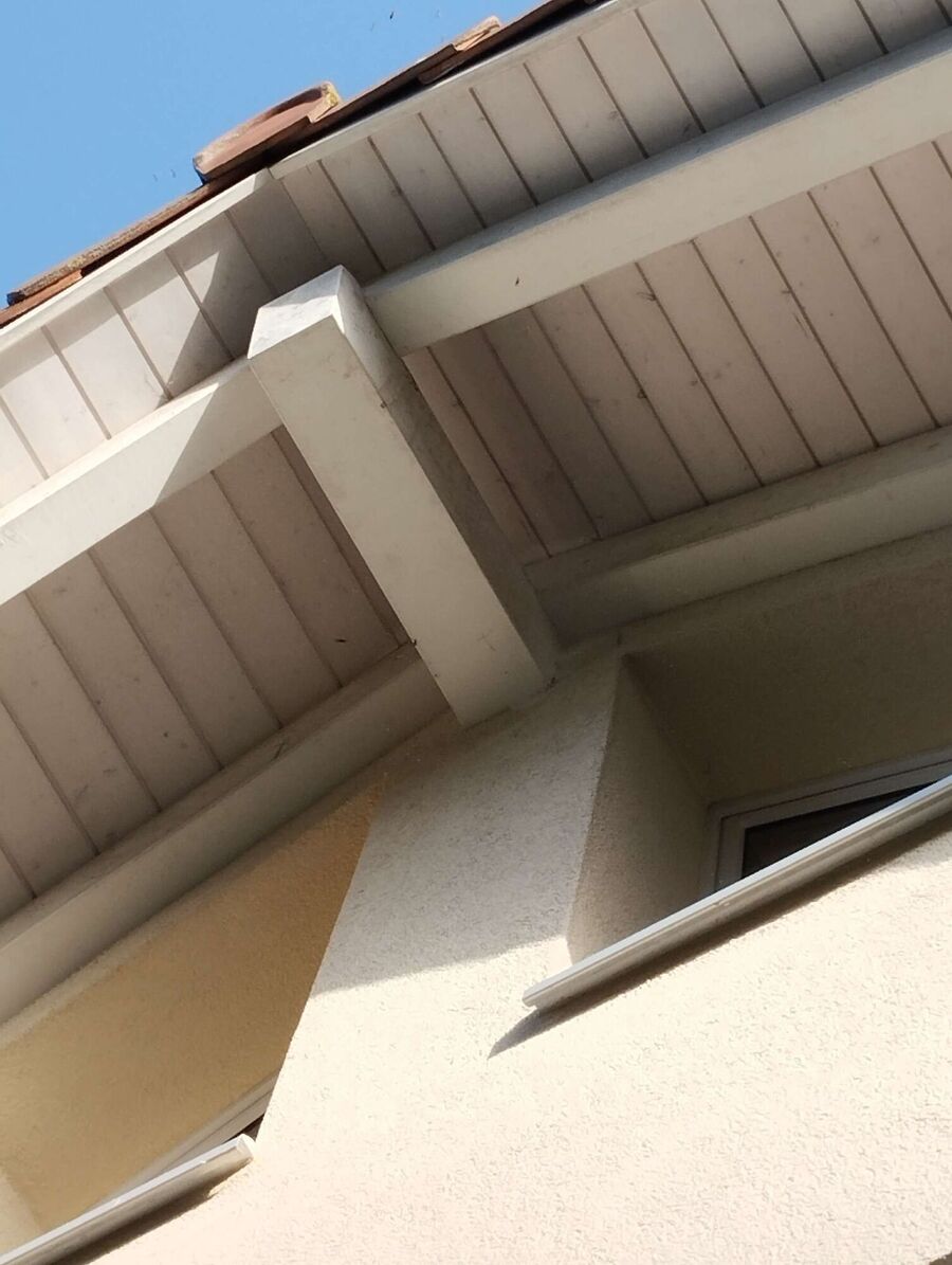 Bee nest at the house remove