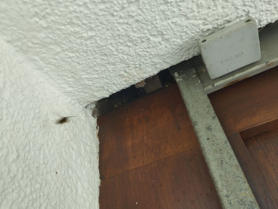 Bee nest at the house remove