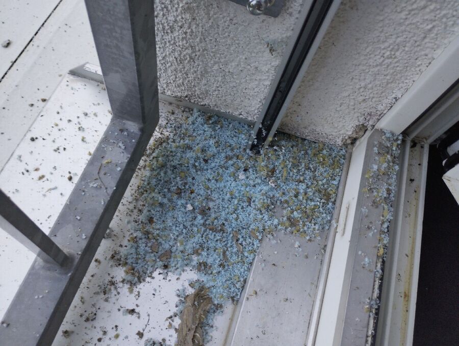 Bee nest at the house remove