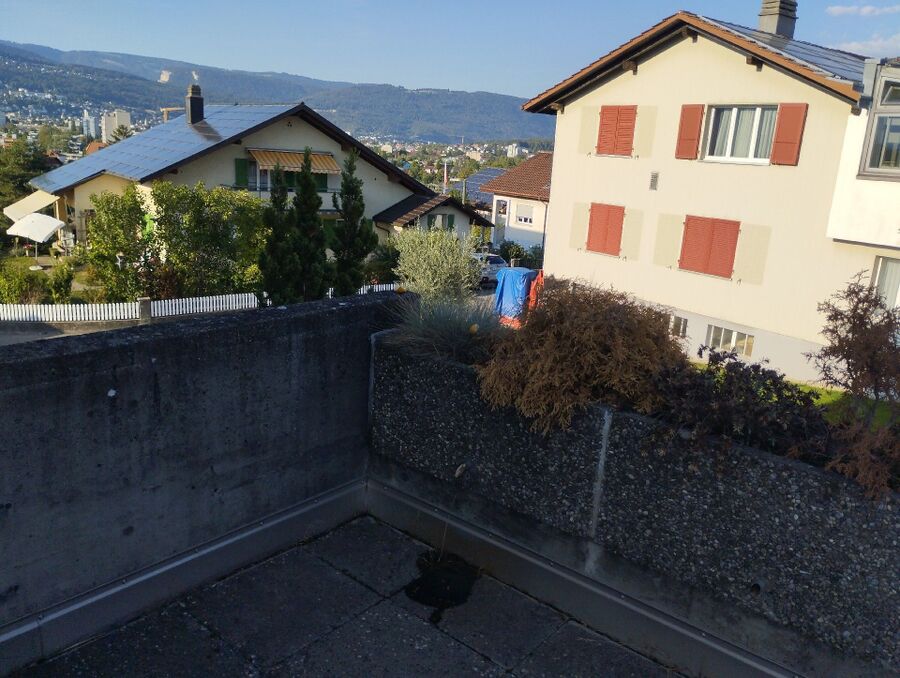 Bee nest at the house remove