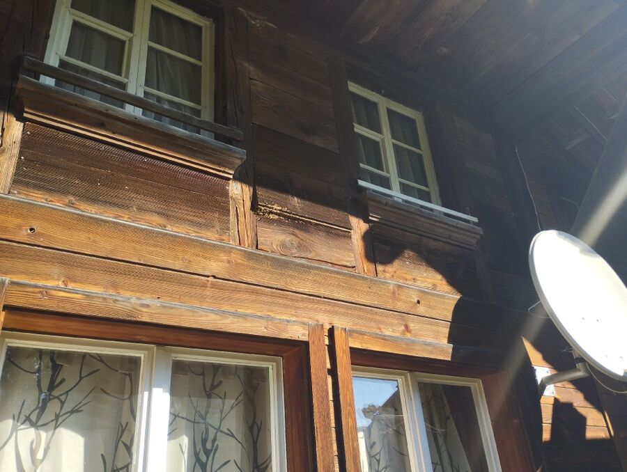 Bee nest at the house remove