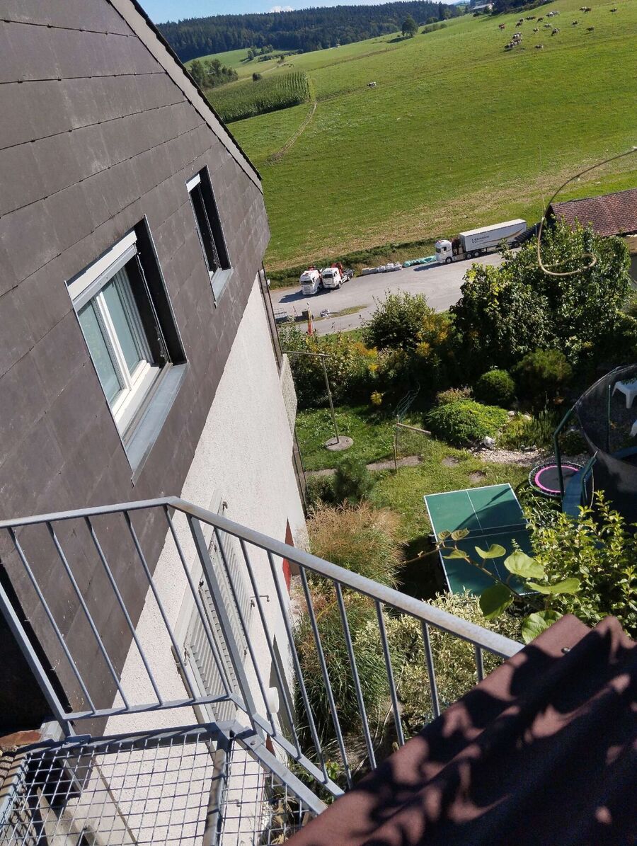 Bee nest at the house remove