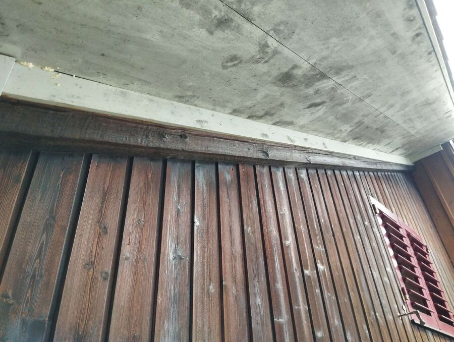 Bee nest at the house remove