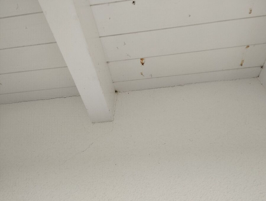 Bee nest at the house remove