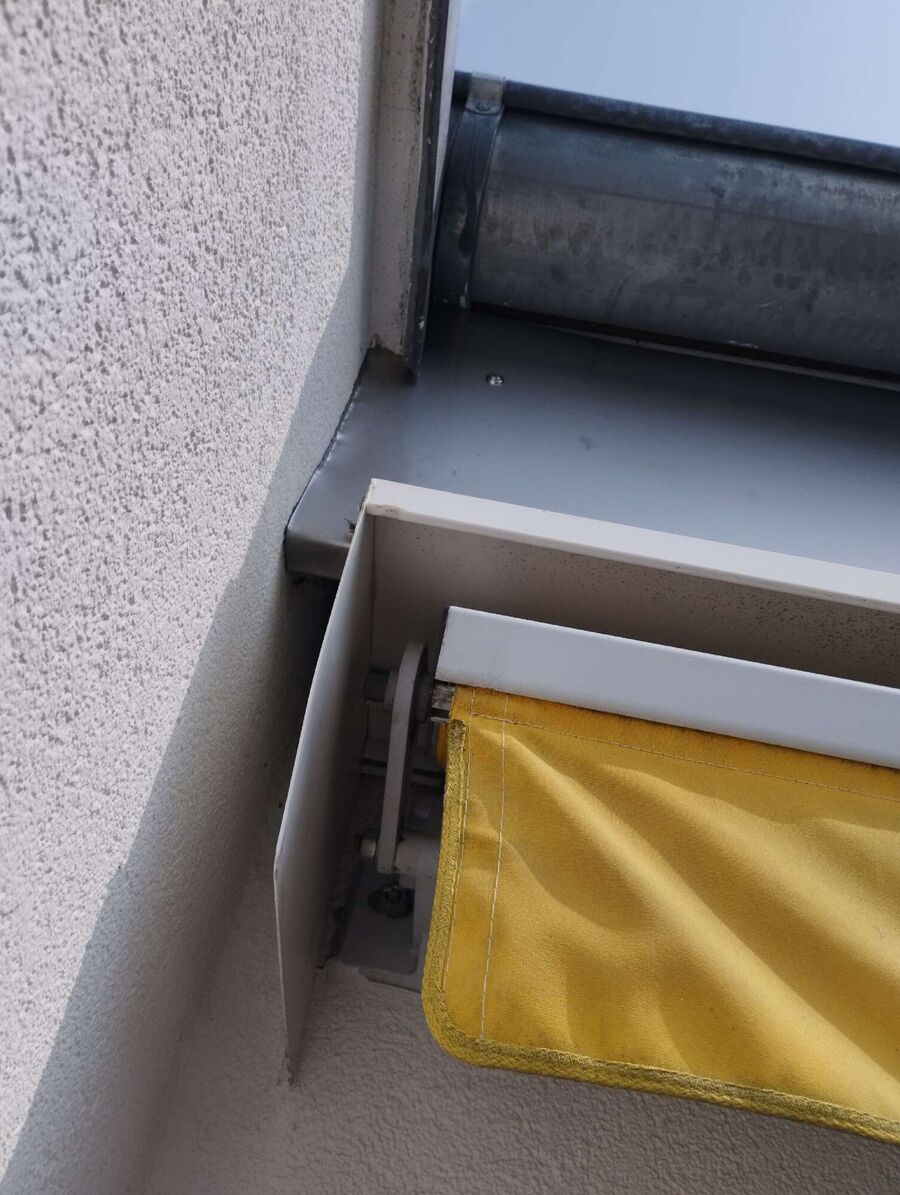 Relocate bees & remove bee nest