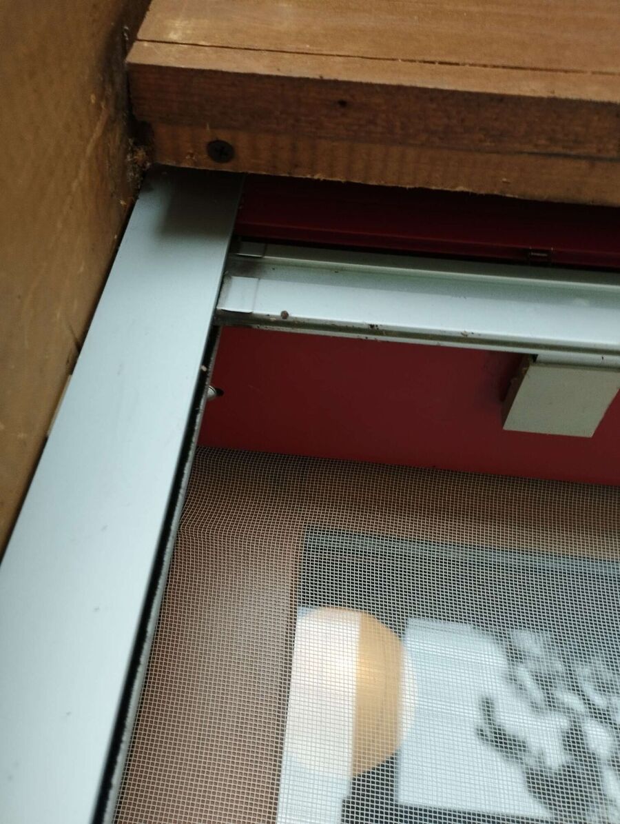 Bee nest at the house remove