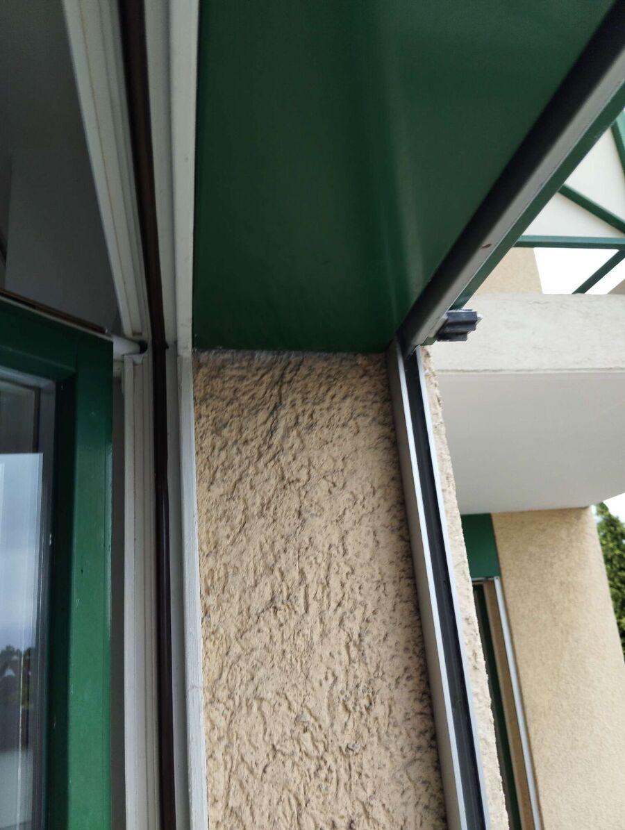 Bee nest at the house remove