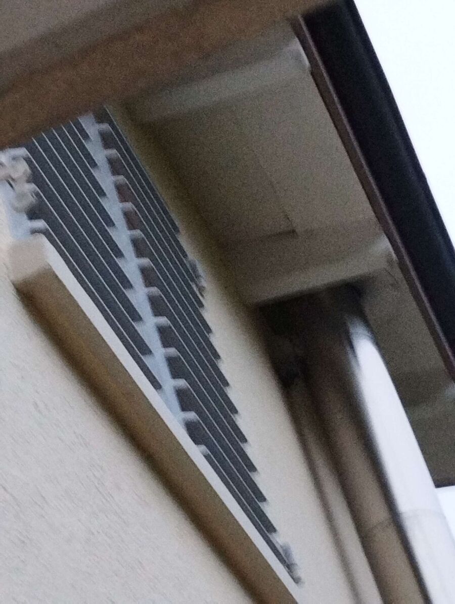 Relocate bees & remove bee nest