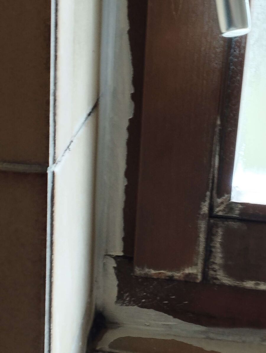 Bee nest at the house remove