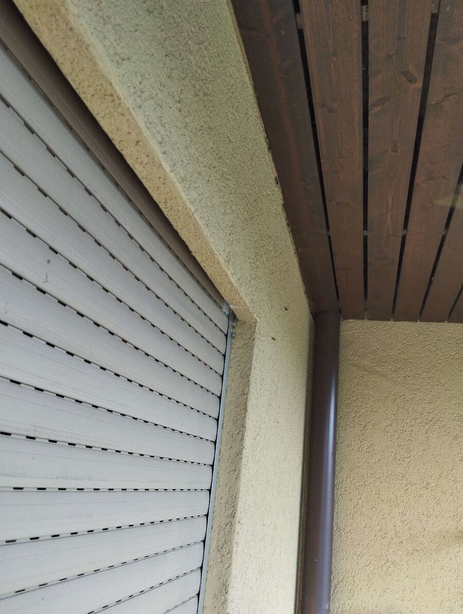 Relocate bees & remove bee nest