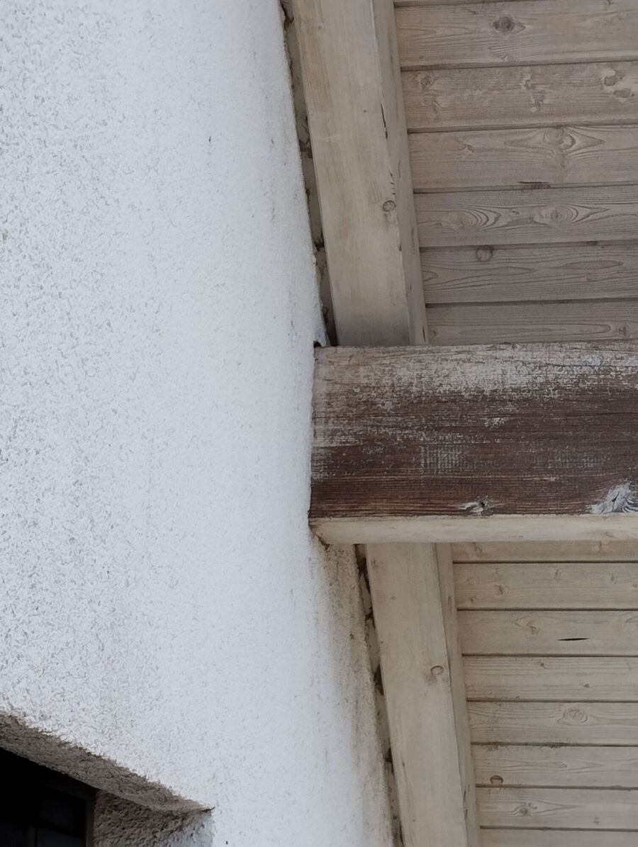 Bee nest at the house remove