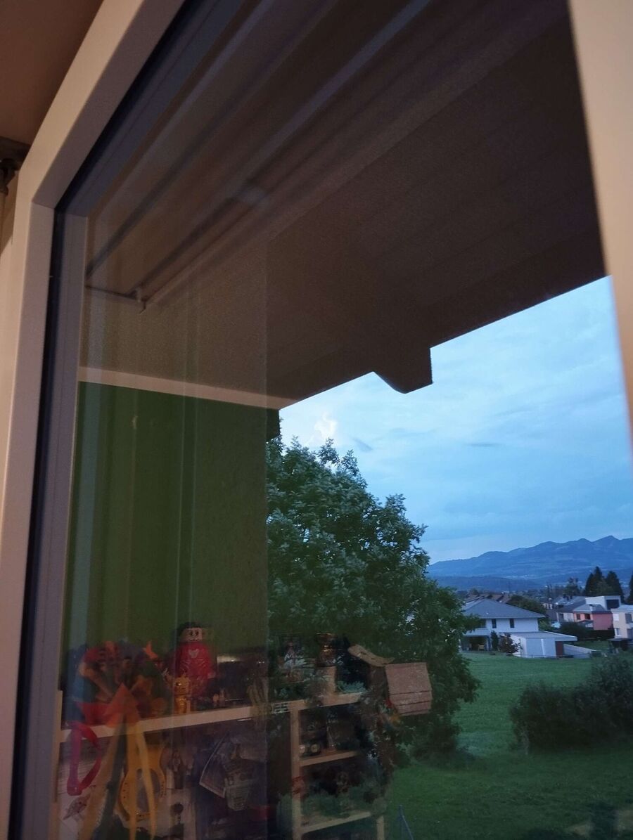 Relocate bees & remove bee nest