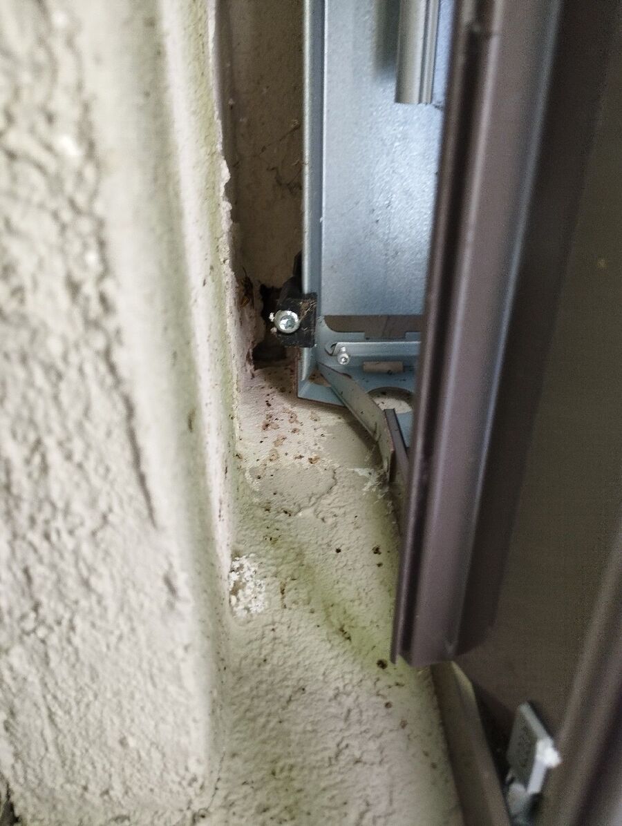 Bee nest at the house remove