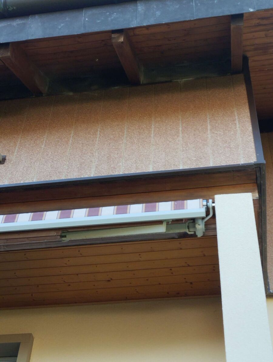 Bee nest at the house remove