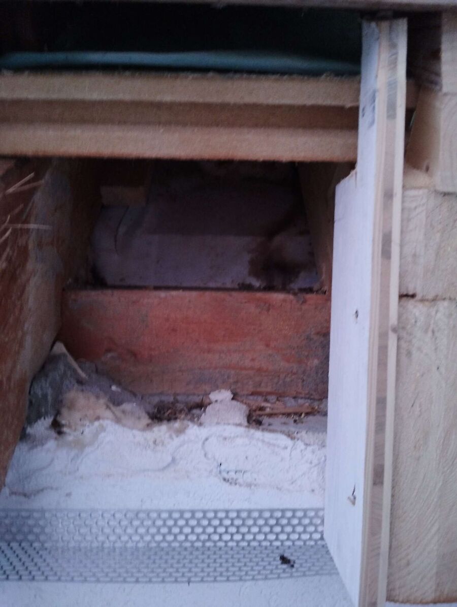 Bee nest at the house remove