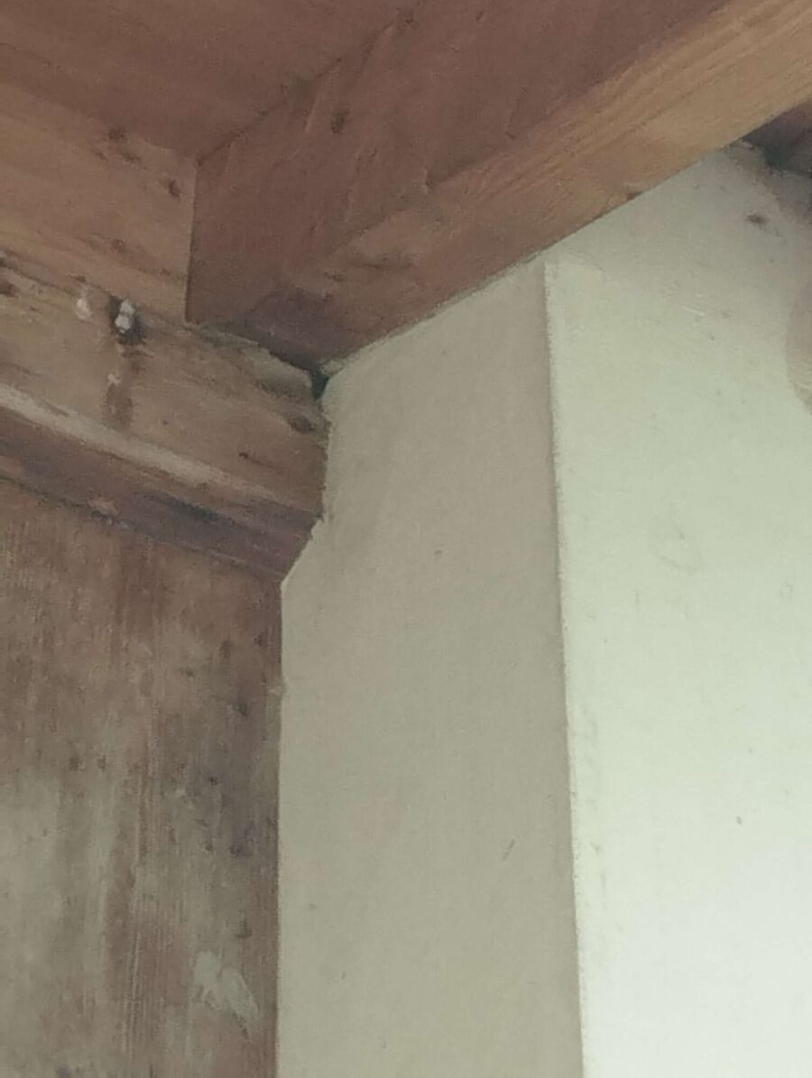 Bee nest at the house remove