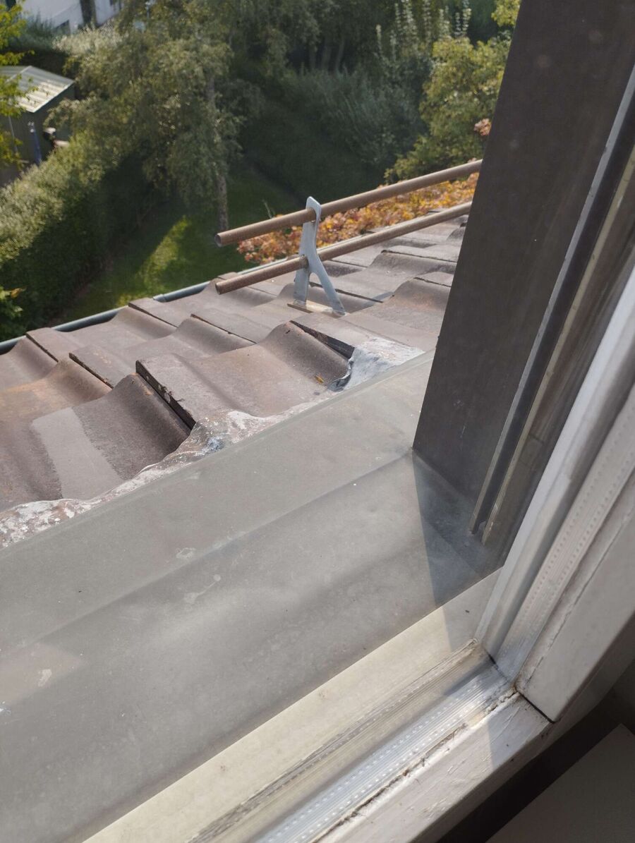 Bee nest at the house remove