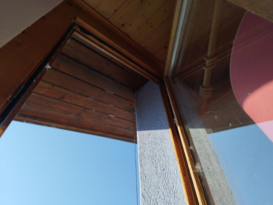 Relocate bees & remove bee nest