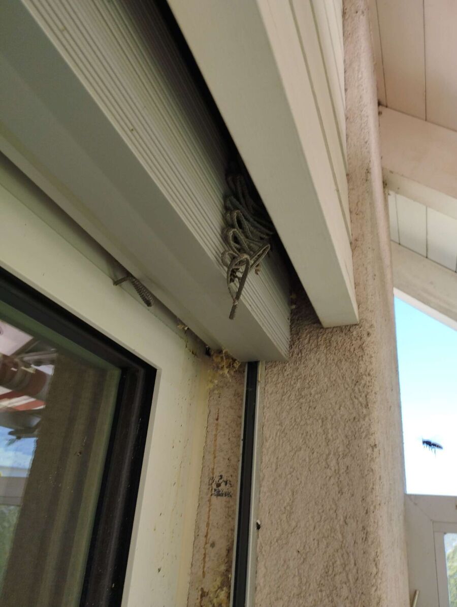 Bee nest at the house remove