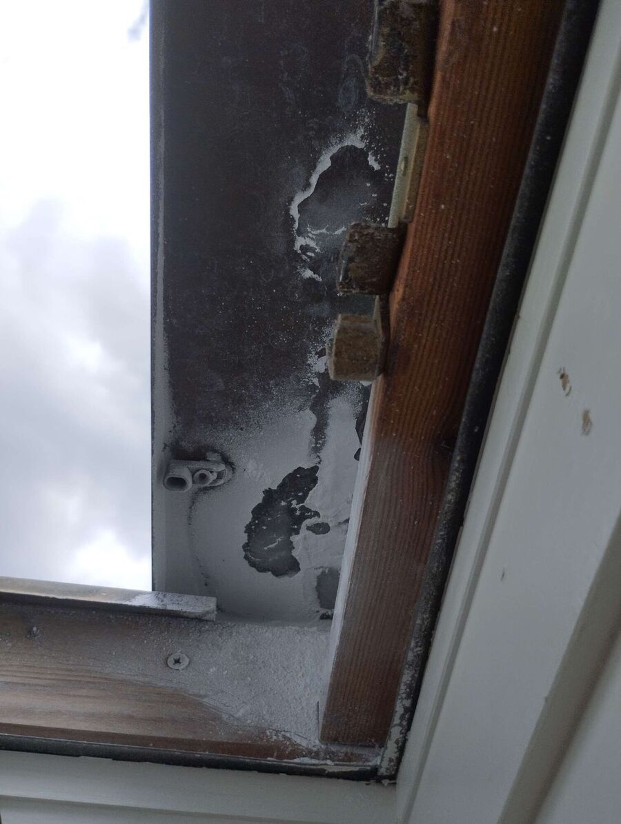 Bee nest at the house remove