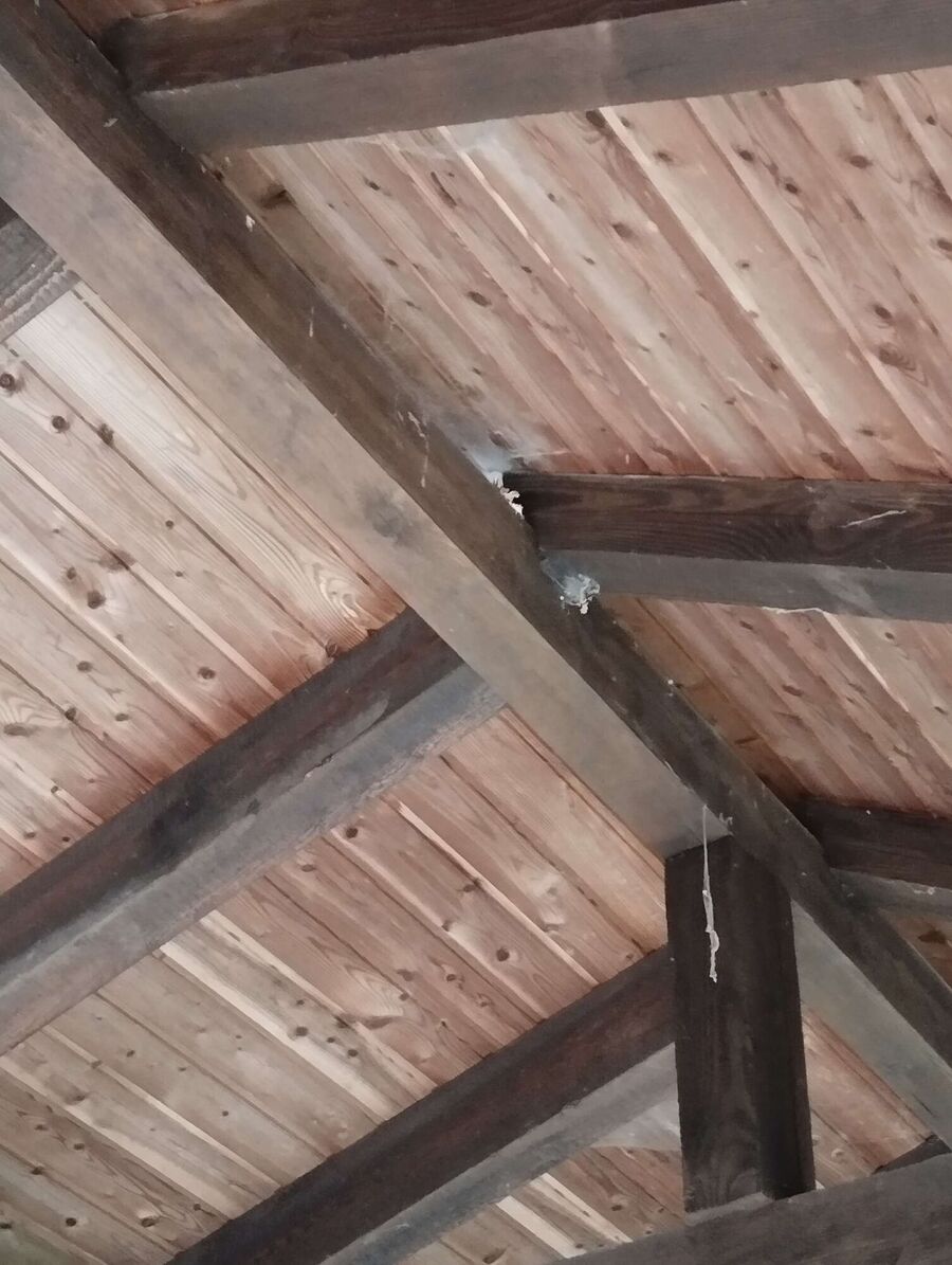 Bee nest at the house remove