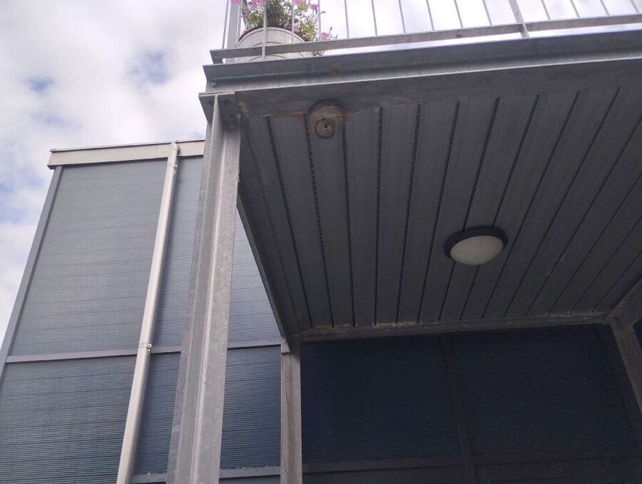 Bee nest at the house remove