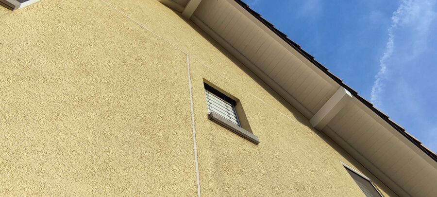 Bee nest at the house remove