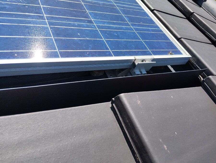 Bee nest at the house remove