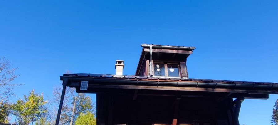 Relocate bees & remove bee nest