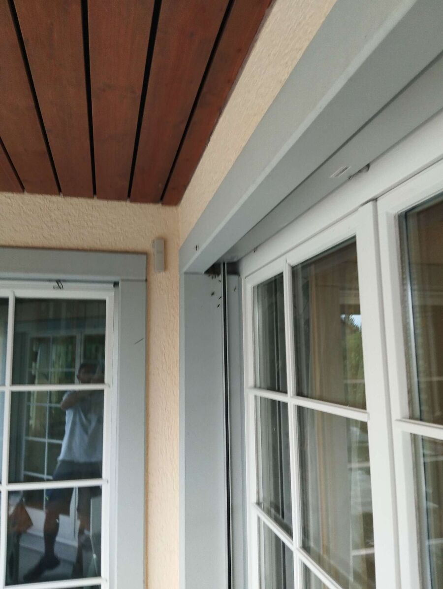 Bee nest at the house remove