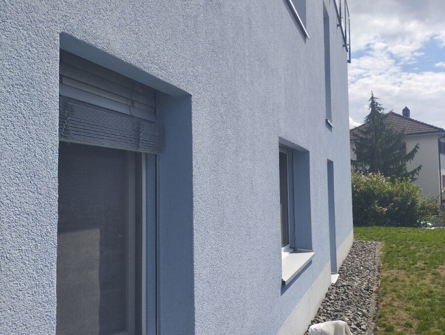 Bee nest at the house remove