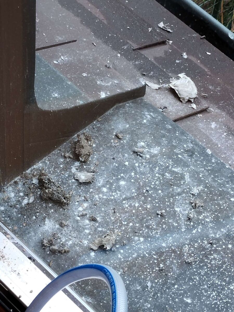 Bee nest at the house remove