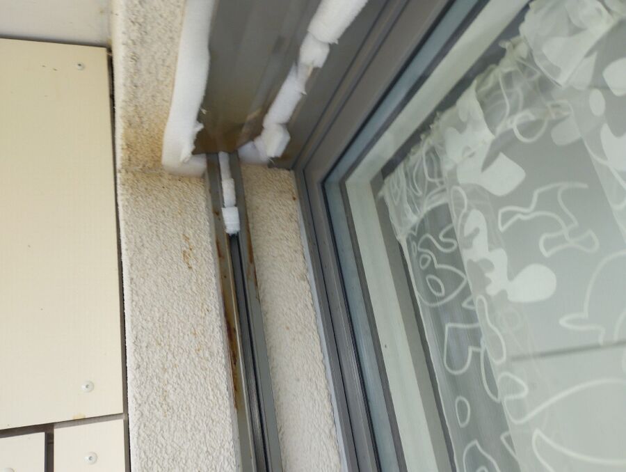 Bee nest at the house remove