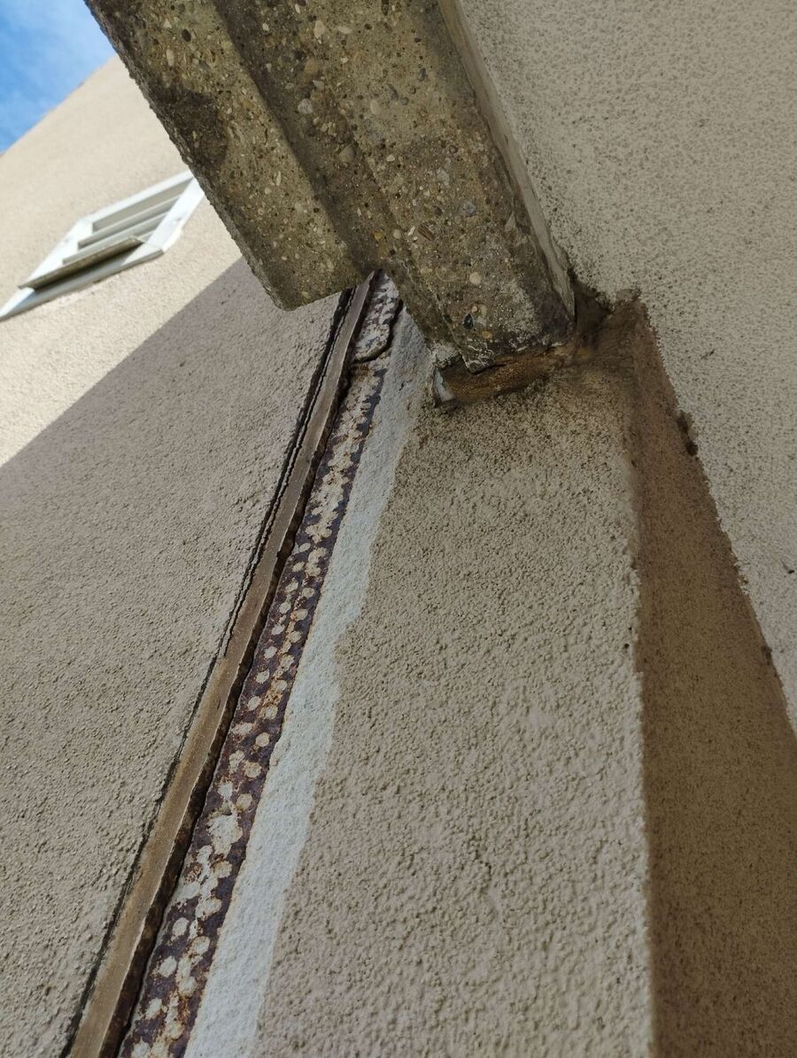 Relocate bees & remove bee nest