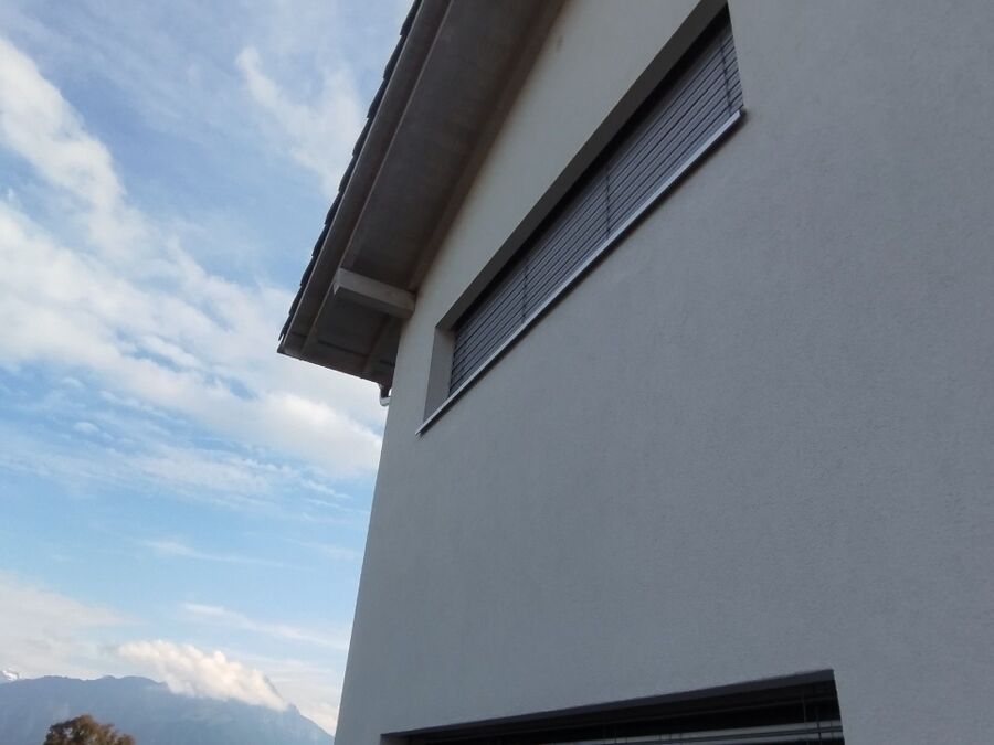 Bee nest at the house remove