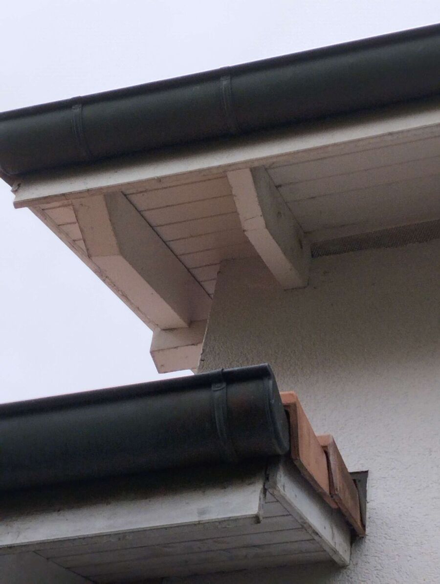 Bee nest at the house remove