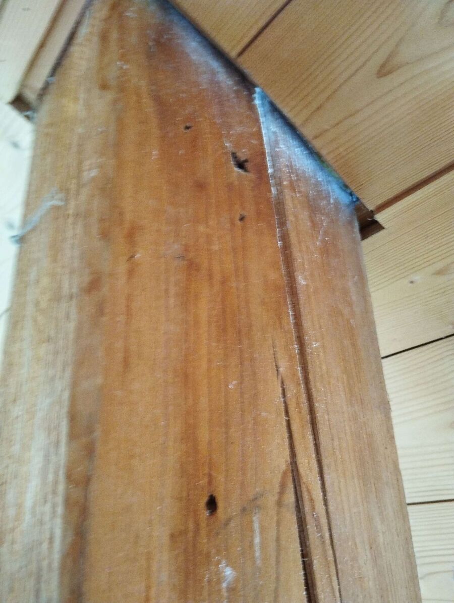 Bee nest at the house remove