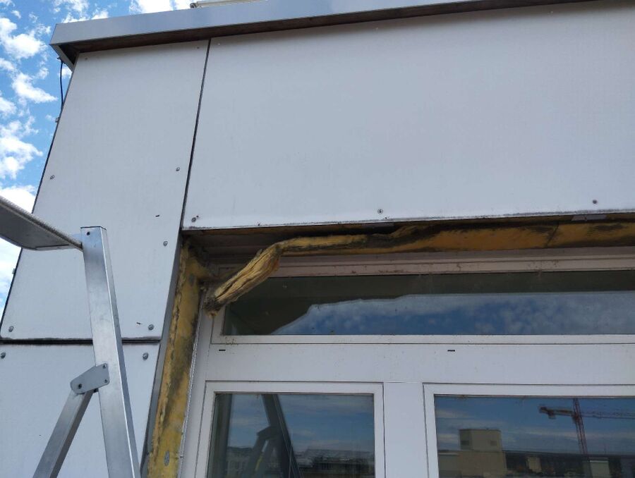 Relocate bees & remove bee nest