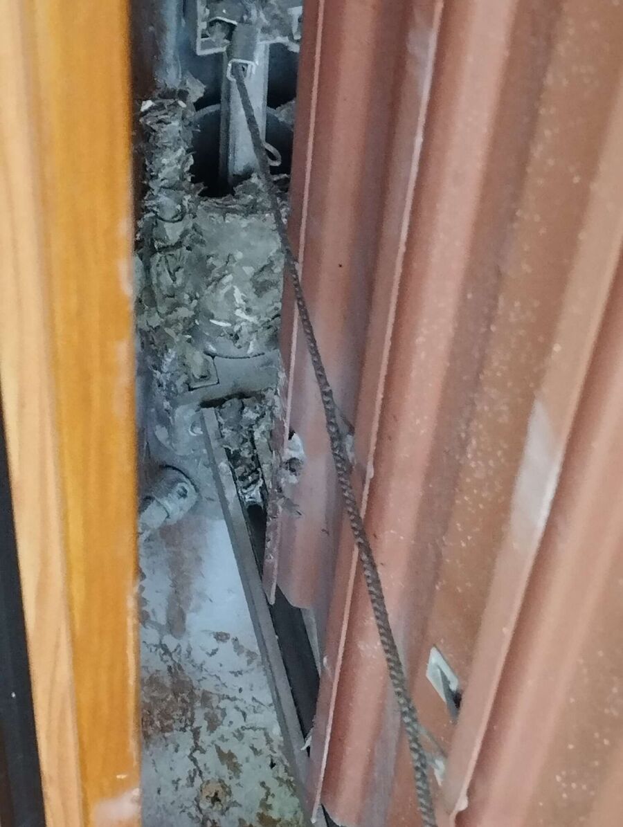 Bee nest at the house remove